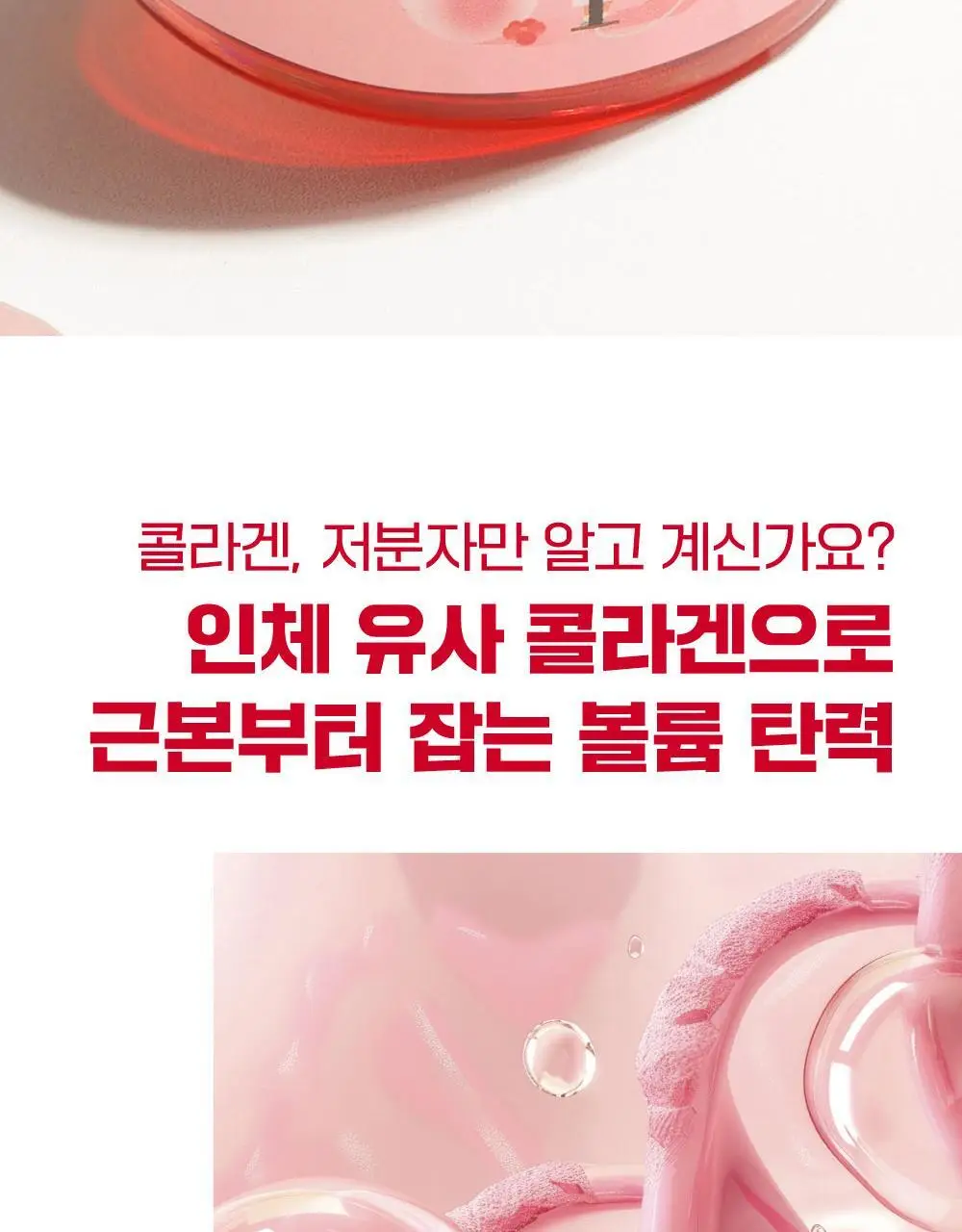 [10층탄력] 라운드랩 동백 딥 콜라겐 탄력 크림 50ml 기획 (+10ml) 상세페이지 10